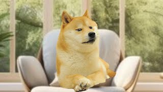 Doge Goes to Therapy