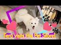 Adventuring to the Pet Store - Tera the Japanese Spitz の動画、YouTube動画。