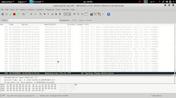 Pyersinia - STP CONF attack
