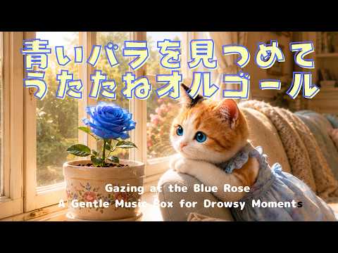 猫 オルゴール 青 星に願いを 4K】Gazing at the Blue Rose 🎵A Gentle Music Box for Drowsy