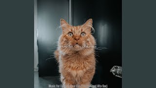 Modish Ambiance for Kittens