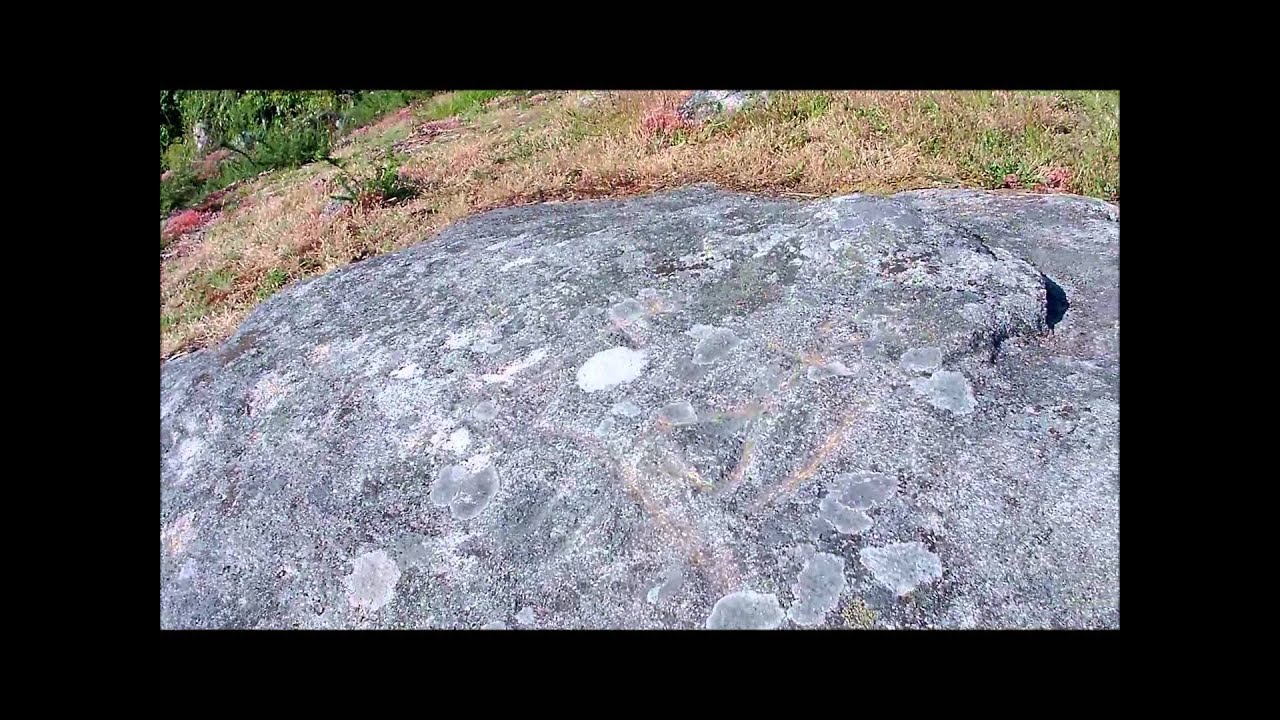 Petroglifos da Poza da Lagoa 1 (Piedra central), Monte Penide (Redondela)