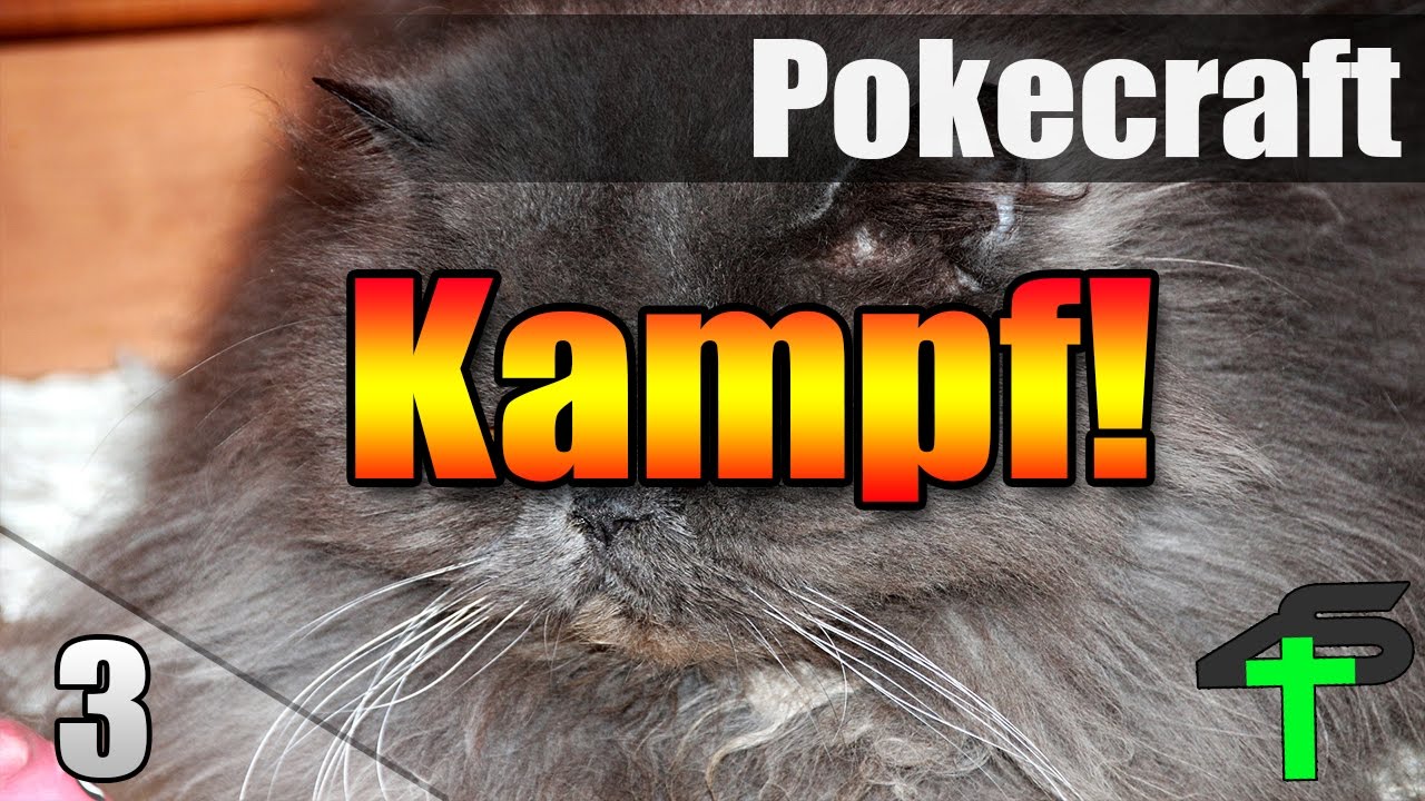 Kampf! | Pokecraft | #3 | Items4Sacred mit Balui und Miri [GER]