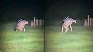 15 Unsolved Mysteries That Cannot Be Explained