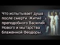 Что испытывает душа после смерти. Мытарства блаженной Феодоры. Житие преподобного Василия Нового.