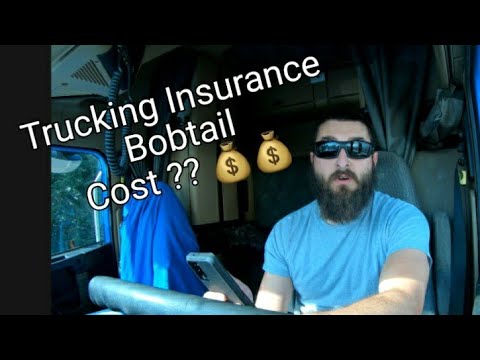 Video: Apakah insurans bobtail?