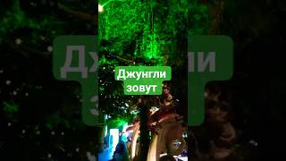 #90s #передача из прошлого #ретро #зовджунглей