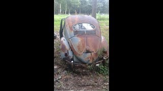 1957 Oval Window Vw Beetle Found on Maine Farm : Volkswagen Bug Rescue / Find Sitting since 71'