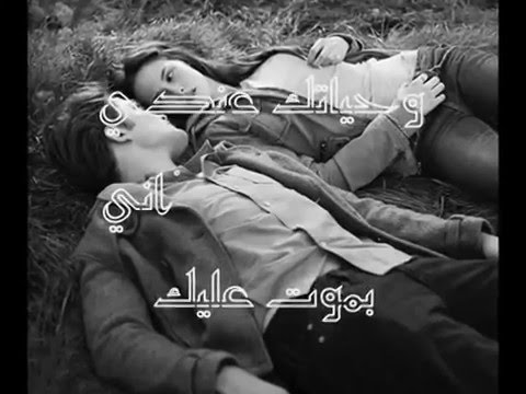     عمار الديك حبيبي 