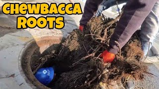 Drain Complaint 355 | Chewbacca Roots & Exhausting Work | Part 10