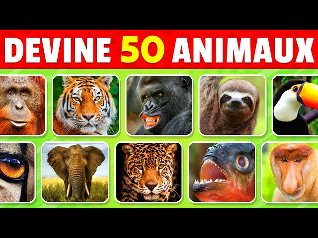 Devine 50 ANIMAUX de la JUNGLE en 3 secondes