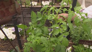Ready for spring cleaning? Here are some tips to clean up your gardens