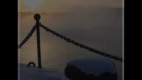 سعد الغامدي مقطع من سوره فاطر