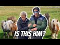 TRYING TO RECOGNISE MY PONY BLIND FOLDED IN A PADDOCK OF PONIES
