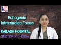 Awareness about echogenic intracardiac focus by dr shruti jain  kailash hospital sector 71 noida
