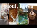 【韓国vlog】聖水・明洞ひとりグルメ&カフェグルメ巡り!薬菓|ジェラート|平壌冷麺