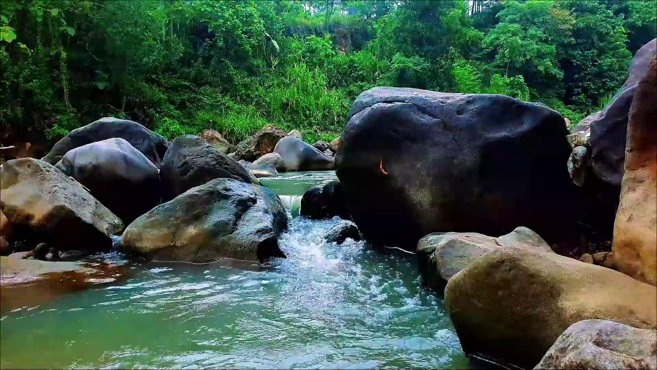 White Noise for Studying Nature – Soft Forest Stream to Improve Concentration
