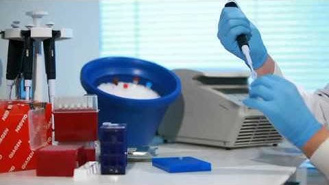 RT² Profiler PCR Array System  Technology Overview   YouTube