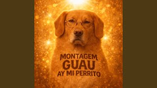 MONTAGEM GUAU AY MI PERRITO (Ultra Slowed) - PHONK G1RL