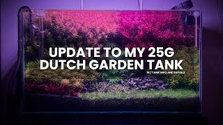 80 Days Massive Growth! 25G Dutch Garden Tank Update 🌿