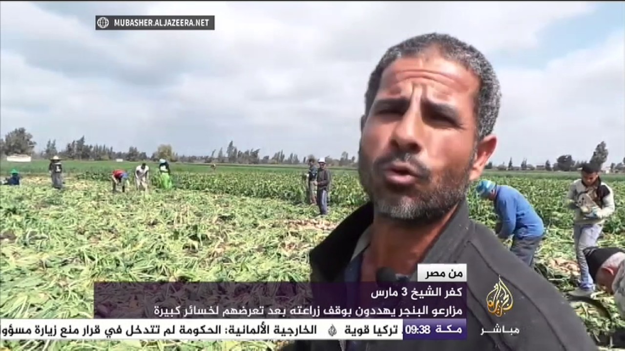 مصريون : “ الناس كلها شافت قتل المتظاهرين .. نفسي حد يجاوبني مين اللي قتل الشباب في يناير”