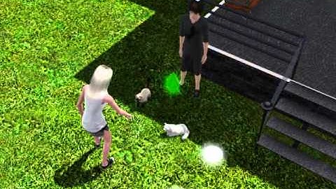 The Sims 3 - My cat giving birth