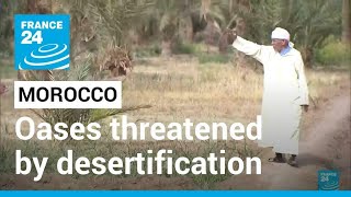 Morocco Desertification Oases Threatened By Encroaching Sands France 24 English