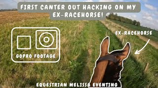 Cantering out on my ExRacehorse for the first time || Equestrian Melissa Eventing