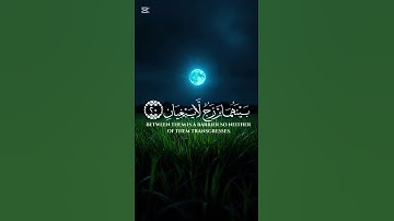{مَرَجَ الْبَحْرَيْنِ يَلْتَقِيَانِ} عمير شميم سورة الرحمن الآية {19} #قرآن