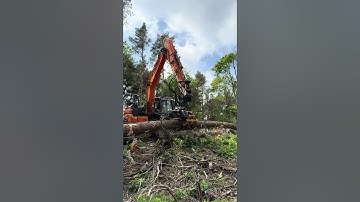 Powerhand EX Grapple Saw on Doosan DX160