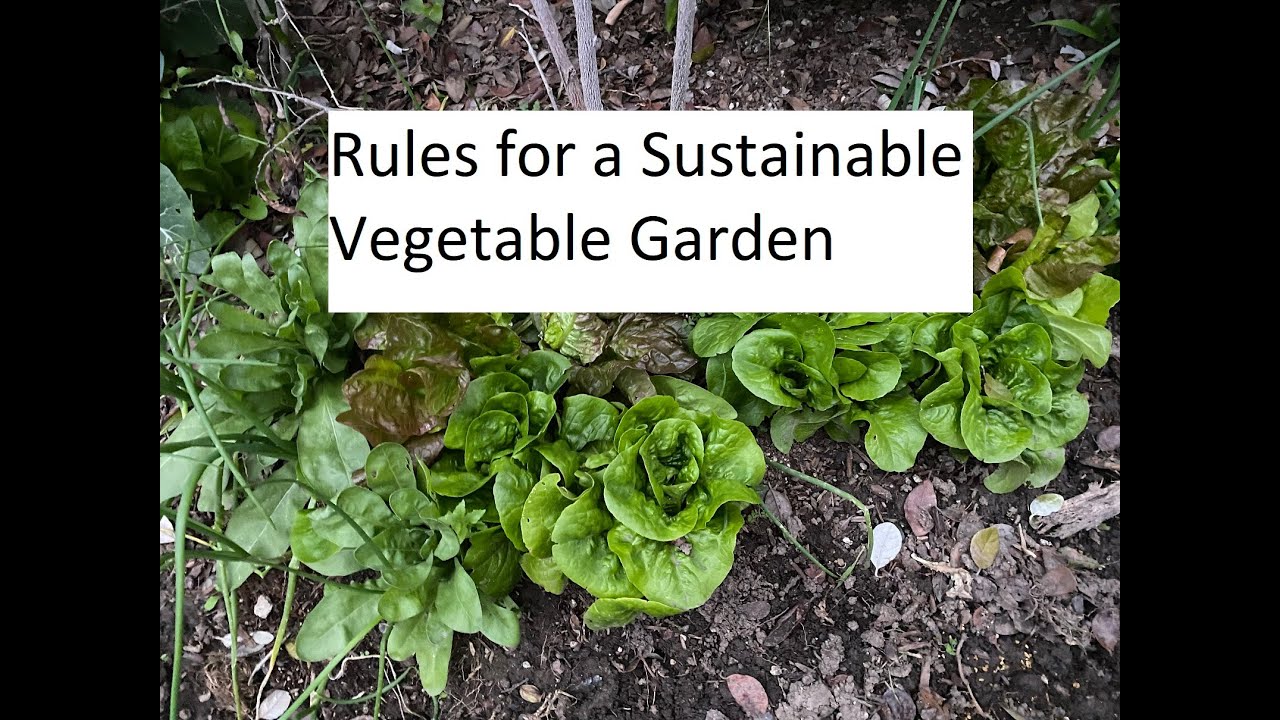 Rules for a Sustainable Vegetable Garden - YouTube