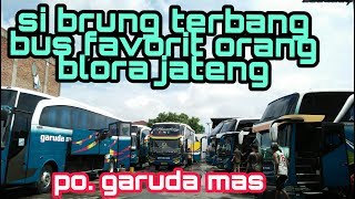 Bus Garuda Mas Executive Dipool Agen Pulogadung Jakarta Timur