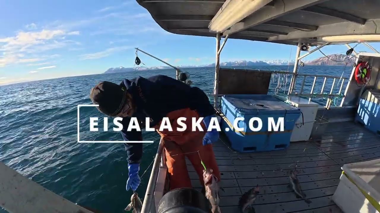 Clearing out our stock! (Rockfish Sharebox Sale)