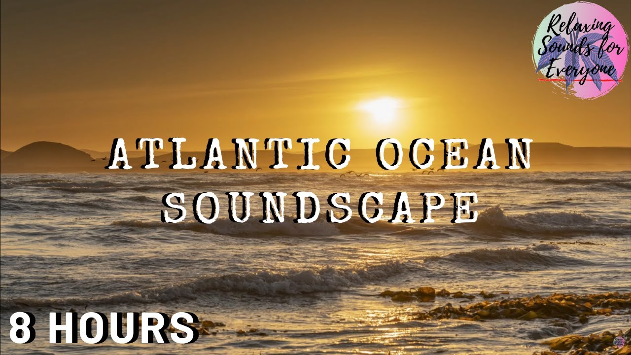 (8 HOURS) Argentina Soundscape - Calm Atlantic Ocean Waves Sounds