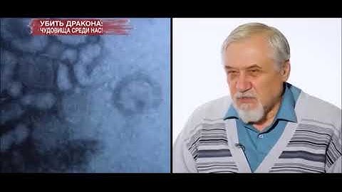 ОСТОРОЖНО, КОМАРЫ!