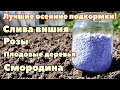 Не подкармливайте осенью ничего пока не посмотрите это видео! Осенние удобрения в саду и огороде