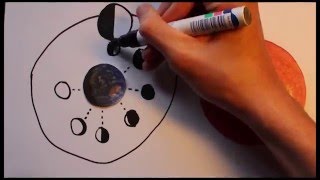 Phases of the Moon Explained