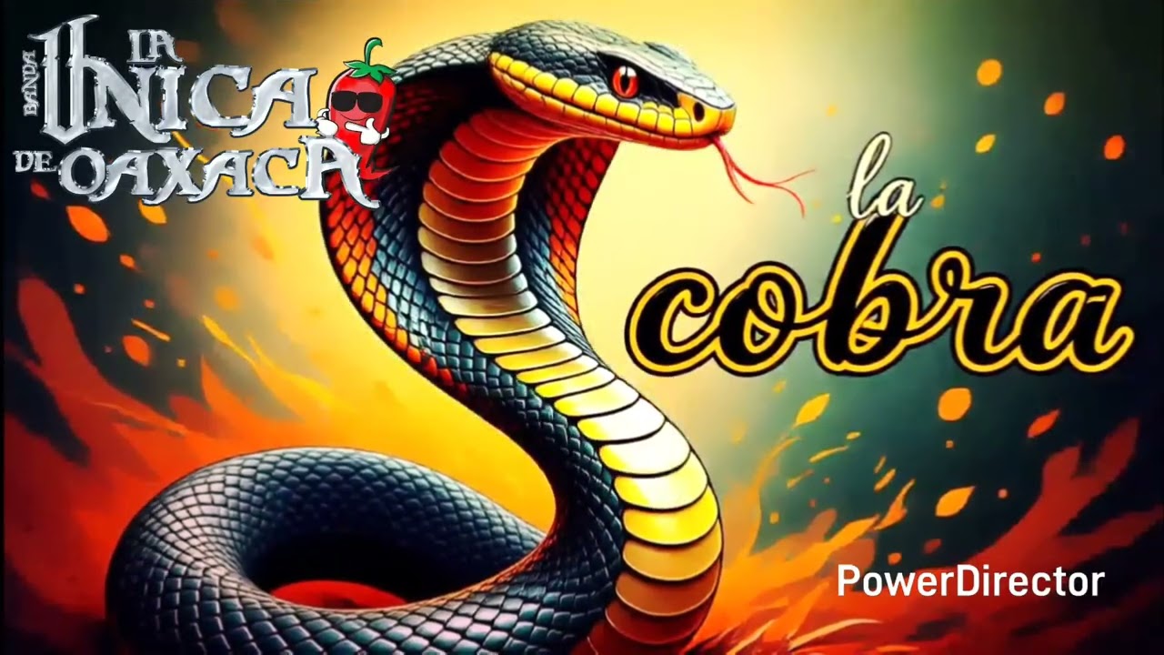 LA COBRA  BANDA LA ÚNICA DE OAXACA 