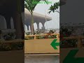 “Amazing Airport Moments”