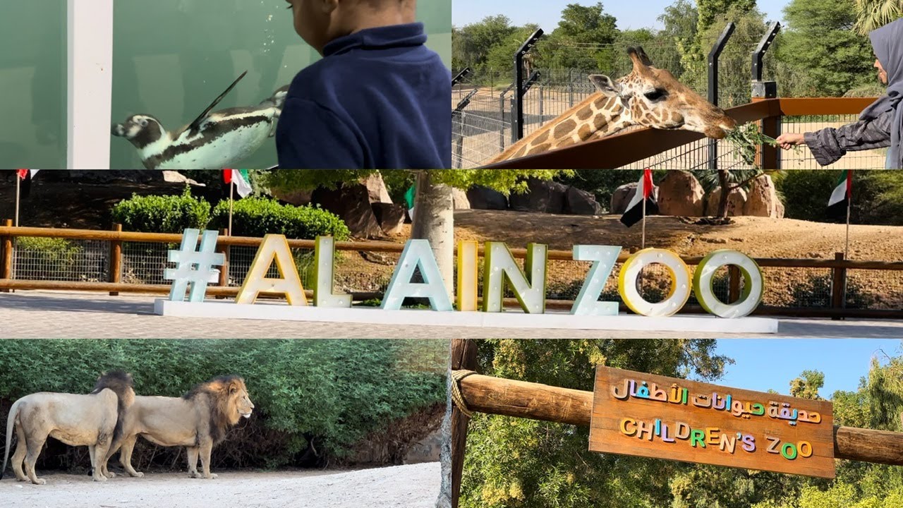 A day in Al Ain Zoo, Al Ain, UAE YouTube
