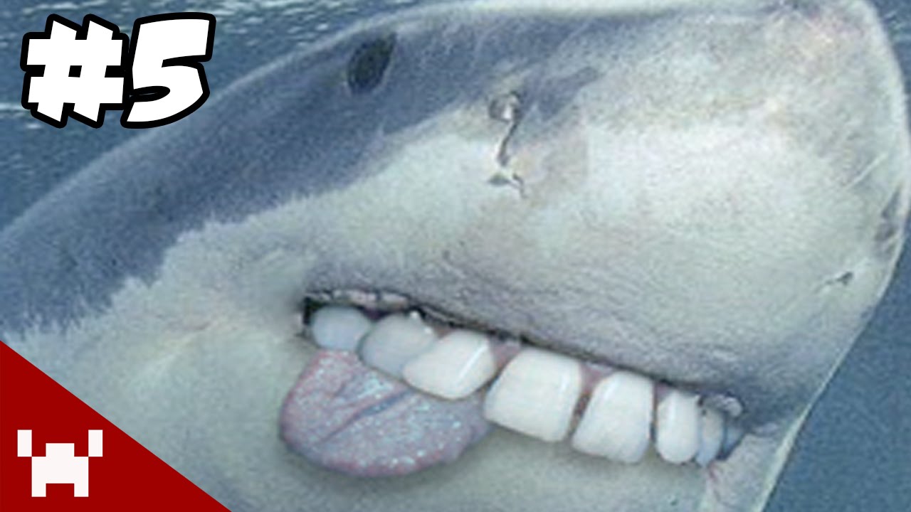 DEADLY CPU SHARK (Depth w/ Friends - Ep. 5)