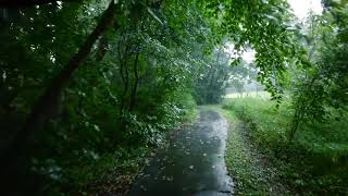 Mishri // Anuv Jain (slowed + reverb) but you're walking in the rain