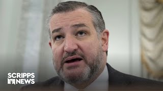 Audio leaked of Ted Cruz telling Fox News plans to steal 2020 election Profile