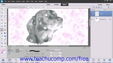 Photoshop Elements 12 Tutorial Resetting Brush & Tool Settings Adobe Training Lesson 7.5