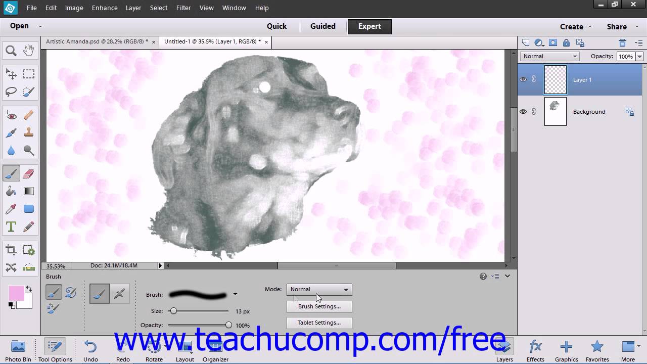 Elements 12 Tutorial Resetting Brush & Tool Settings Adobe Training Lesson 7.5 YouTube