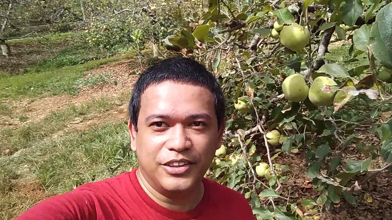 fall season - YouTube