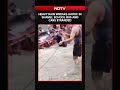 Shamli Flood Chaos: School Bus Stuck, Cars Trapped As Rain Brings City To Standstill