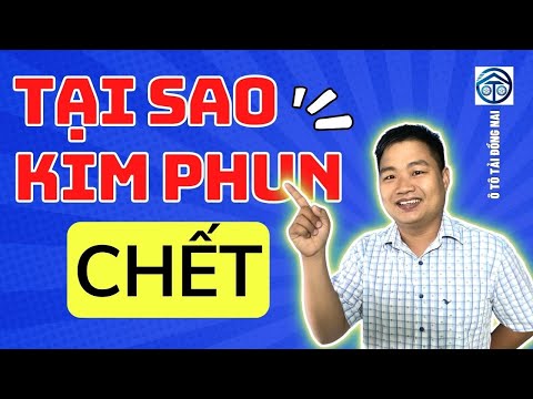 Video: Làm thế nào để bạn sửa chữa một kim phun diesel bị kẹt?