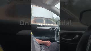 Only In Florida