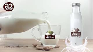 Gaumiya Desi Cow Milk